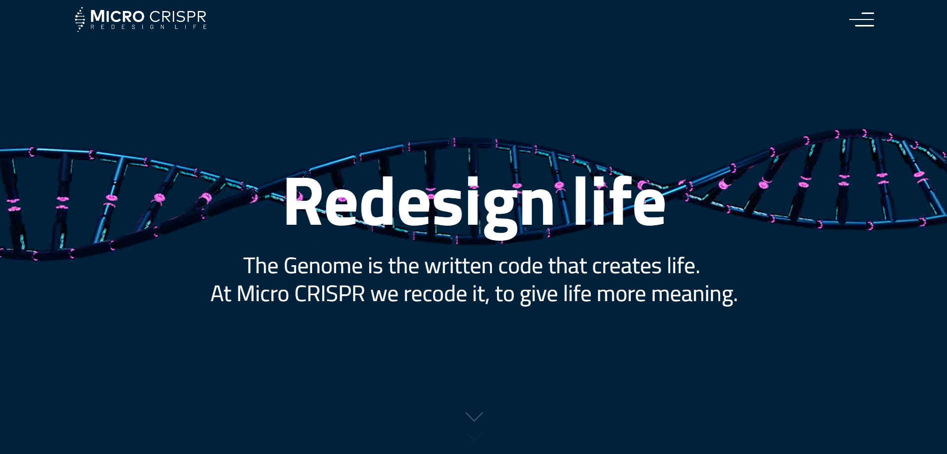 Redesign Life